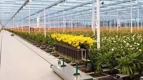 2.greenhouse_746_419.png