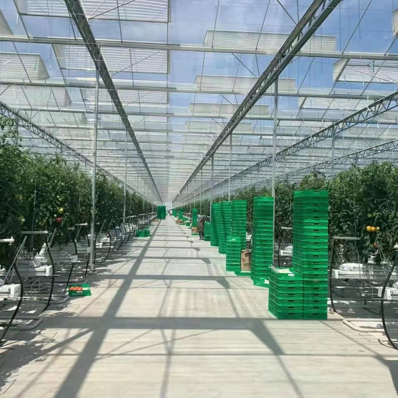 Glass Greenhouse