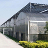 Continuous Plastic Film Vegetable Greenhouse